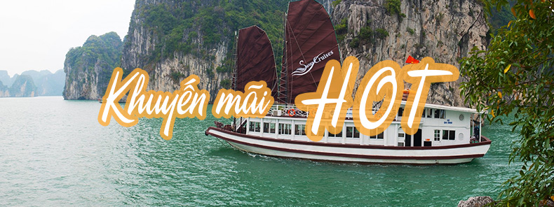 Banner trang chủ 2